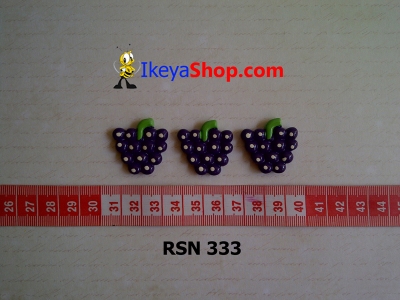 rsn 333  large2